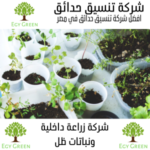 زراعة داخلية و نباتات ظل