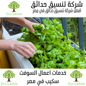 خدمات السوفت سكيب