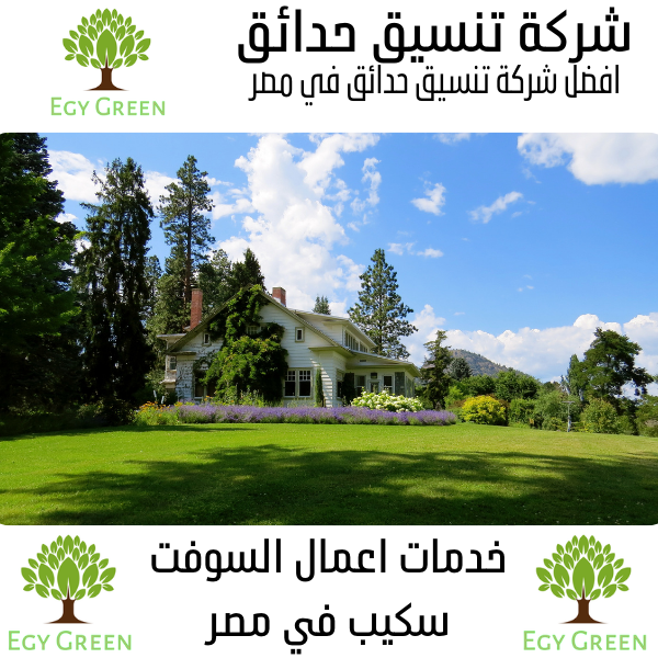 انشاء الحدائق الداخلية في مصر 7 Egy green افضل شركة تنسيق حدائق في مصر