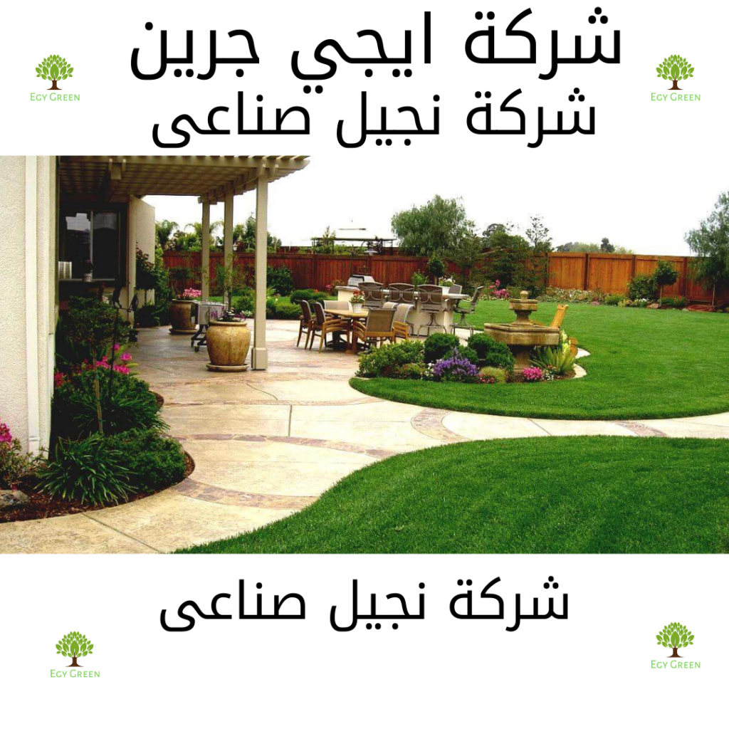 نظافة شقق 2021 12 05T153748.465 Egy green افضل شركة تنسيق حدائق في مصر