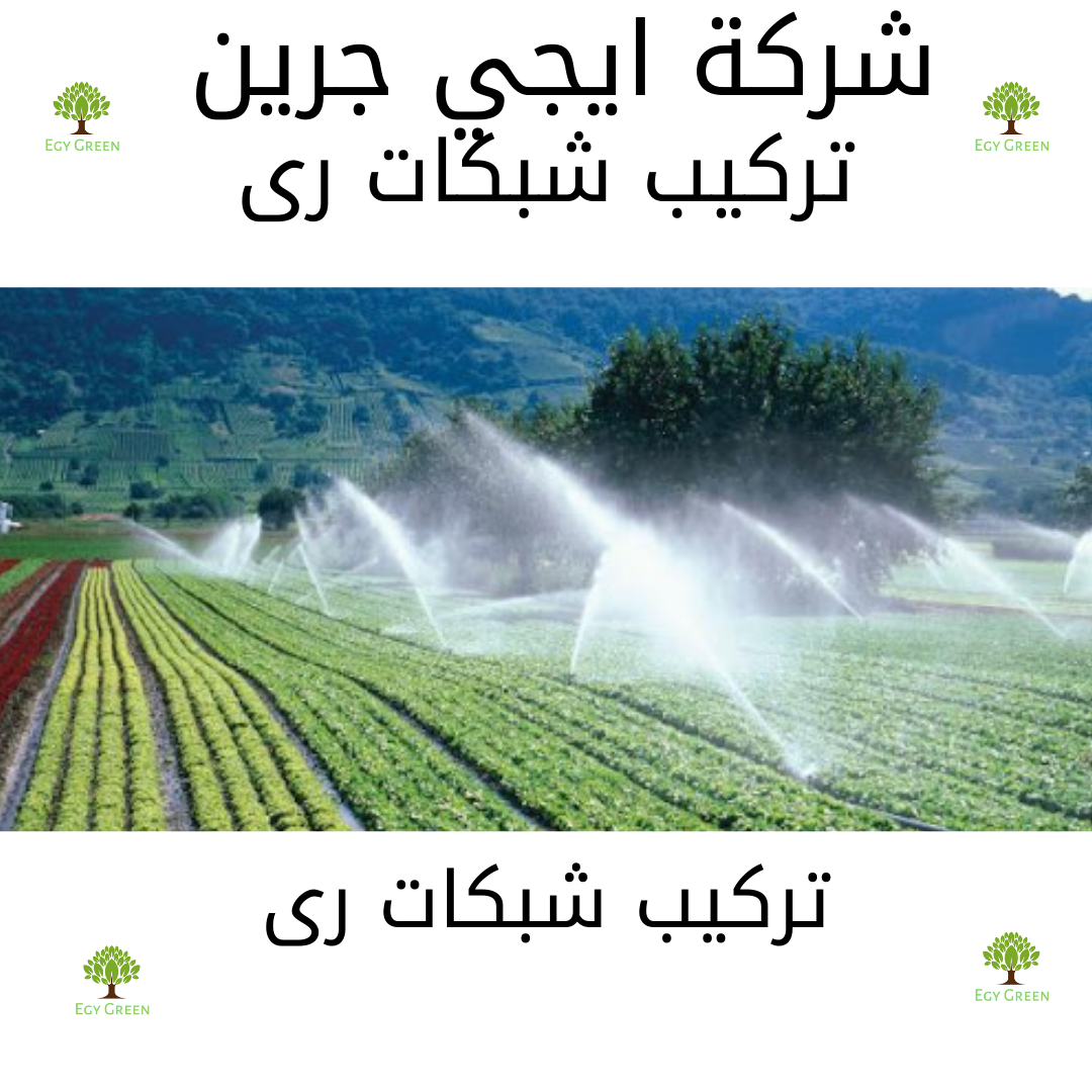 نظافة شقق 2021 12 12T170245.134 Egy green افضل شركة تنسيق حدائق في مصر