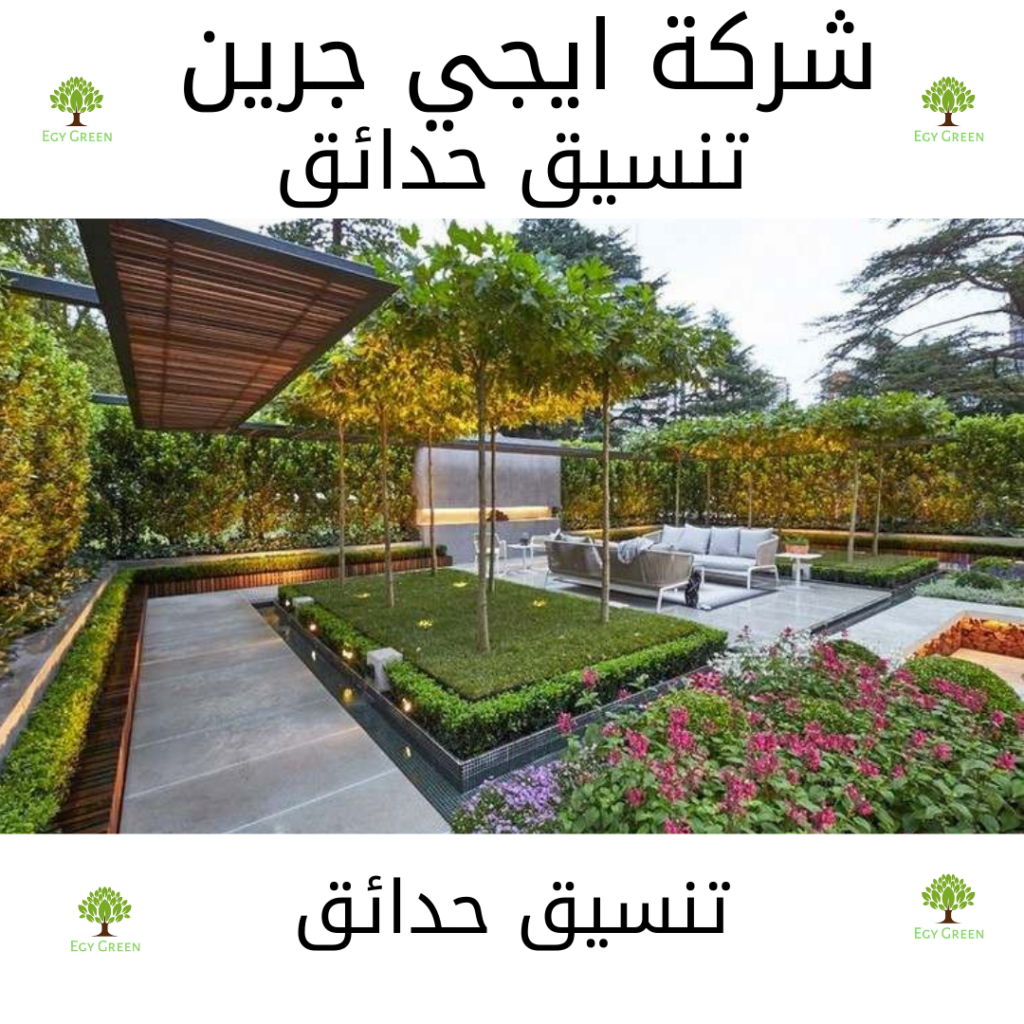 نظافة شقق 2021 12 22T174428.325 1 Egy green افضل شركة تنسيق حدائق في مصر