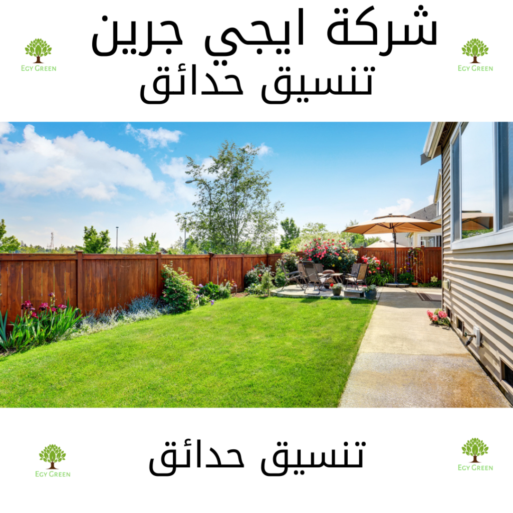 نظافة شقق 2021 12 22T174637.160 Egy green افضل شركة تنسيق حدائق في مصر