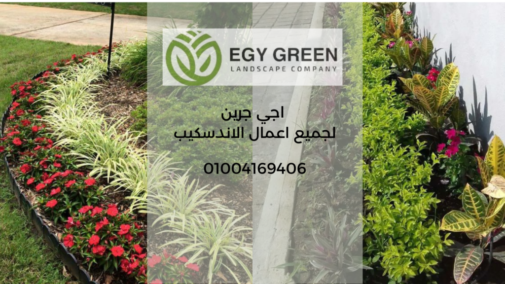 جرين لجميع اعمال الاندسكيب 2 Egy green افضل شركة تنسيق حدائق في مصر