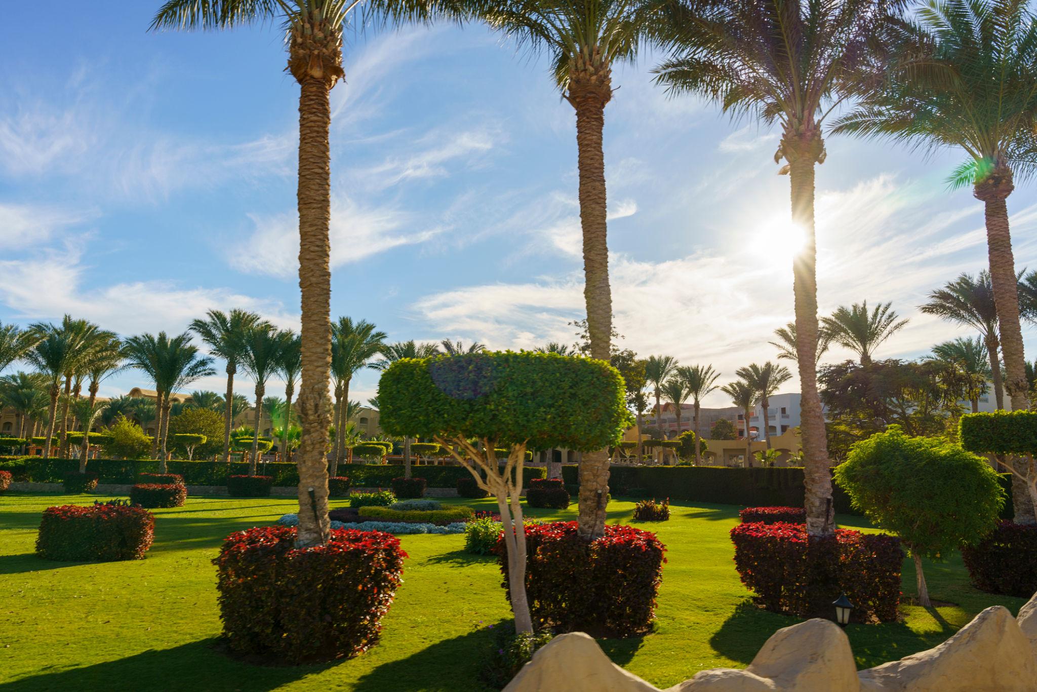 أفضل شركة لاندسكيب في مصر: حلول متكاملة لتصميم وتنفيذ الحدائق