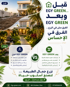 تنسيق الحدائق