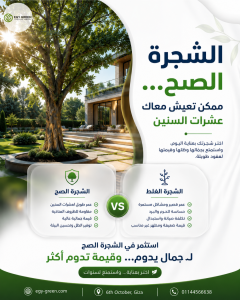 أنواع الأشجار الزراعية