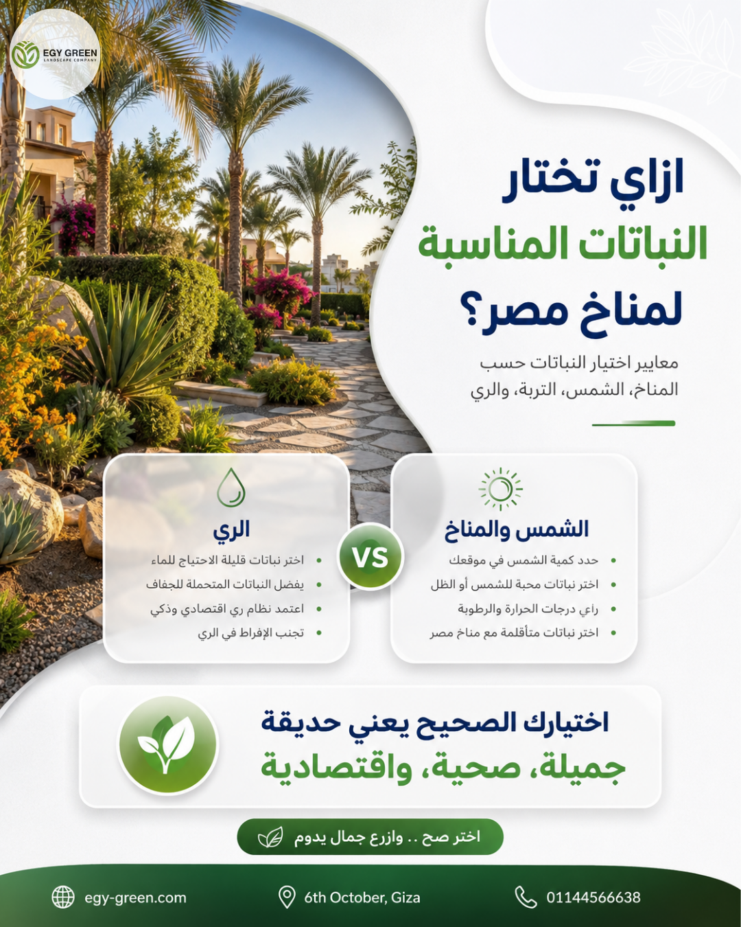 أنسب نبات لمناخ مصر